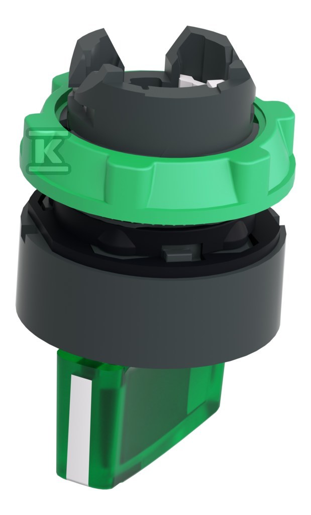Interruptor de 2 posições verde estável - ZB5AK1233